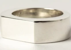 Parts of Four, Mondsichelring